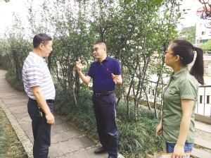 漳州市价格认证中心认证一起恶意损坏园林树木案件