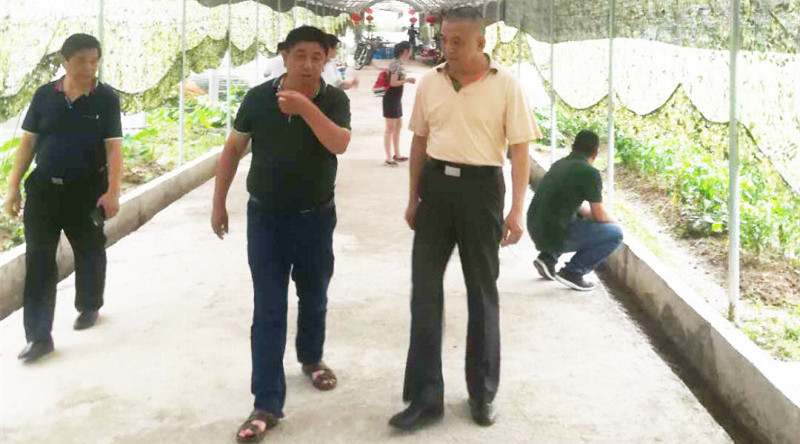 巡视员陈建星带队赴宁化县展开扶贫慰劳活动